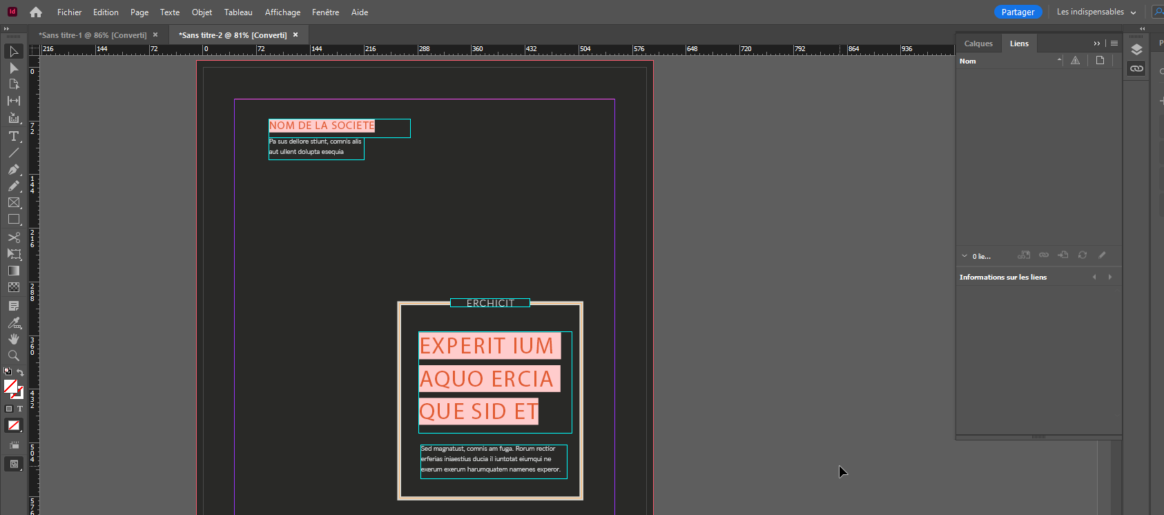 Adobe InDesign Adobe In Design