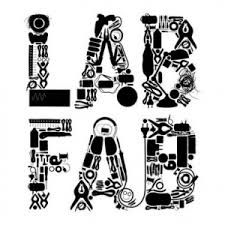 logo labfab